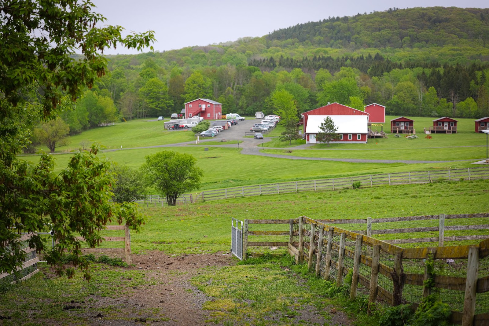 Four Unique Farm Experiences 
