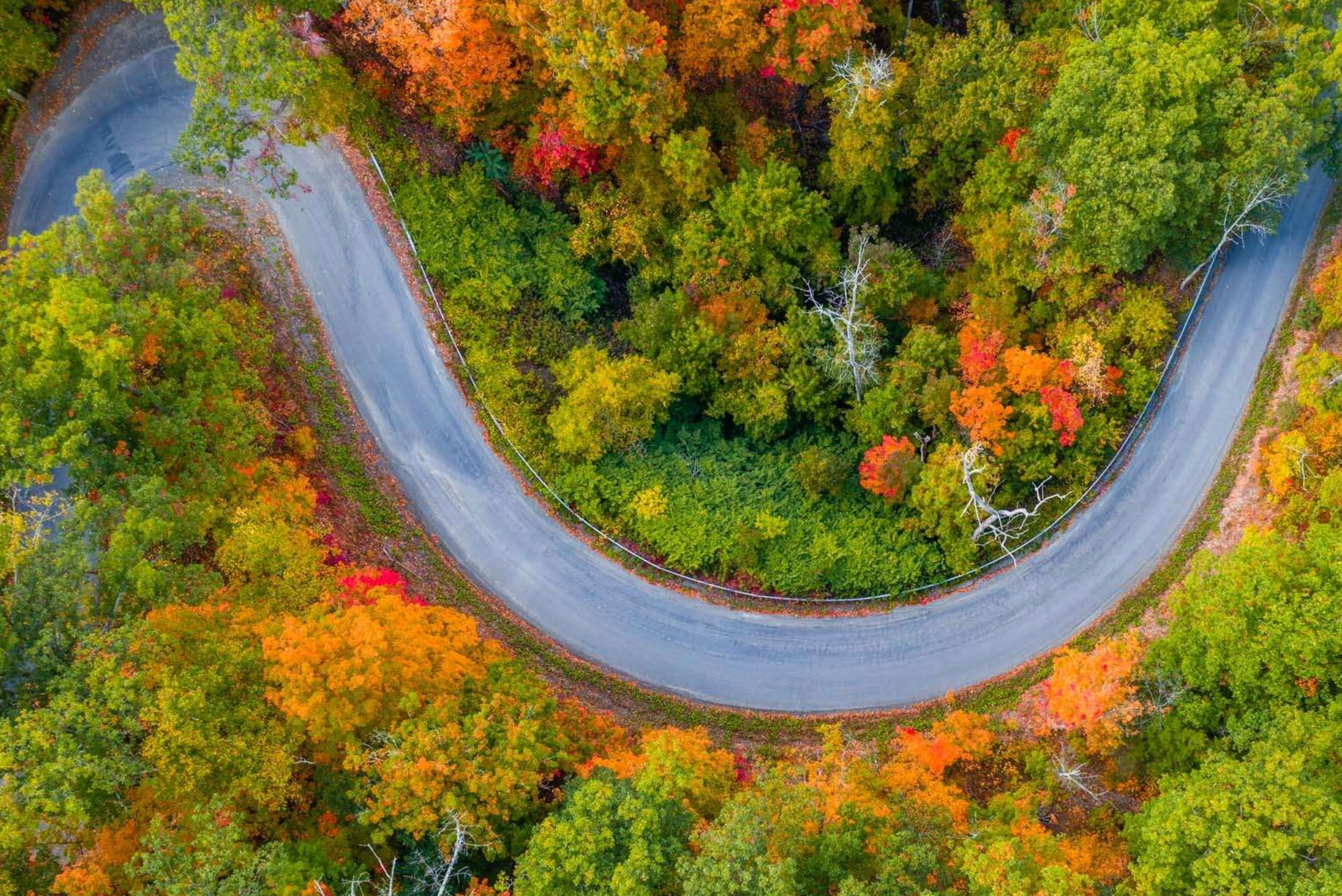 Finger Lakes Wine Country Road Trip: The Ultimate Driving Itinerary