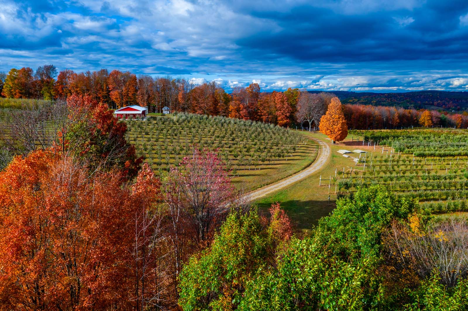 Finger Lakes Wine Country Fall Foliage: Where to See the Best Colors
