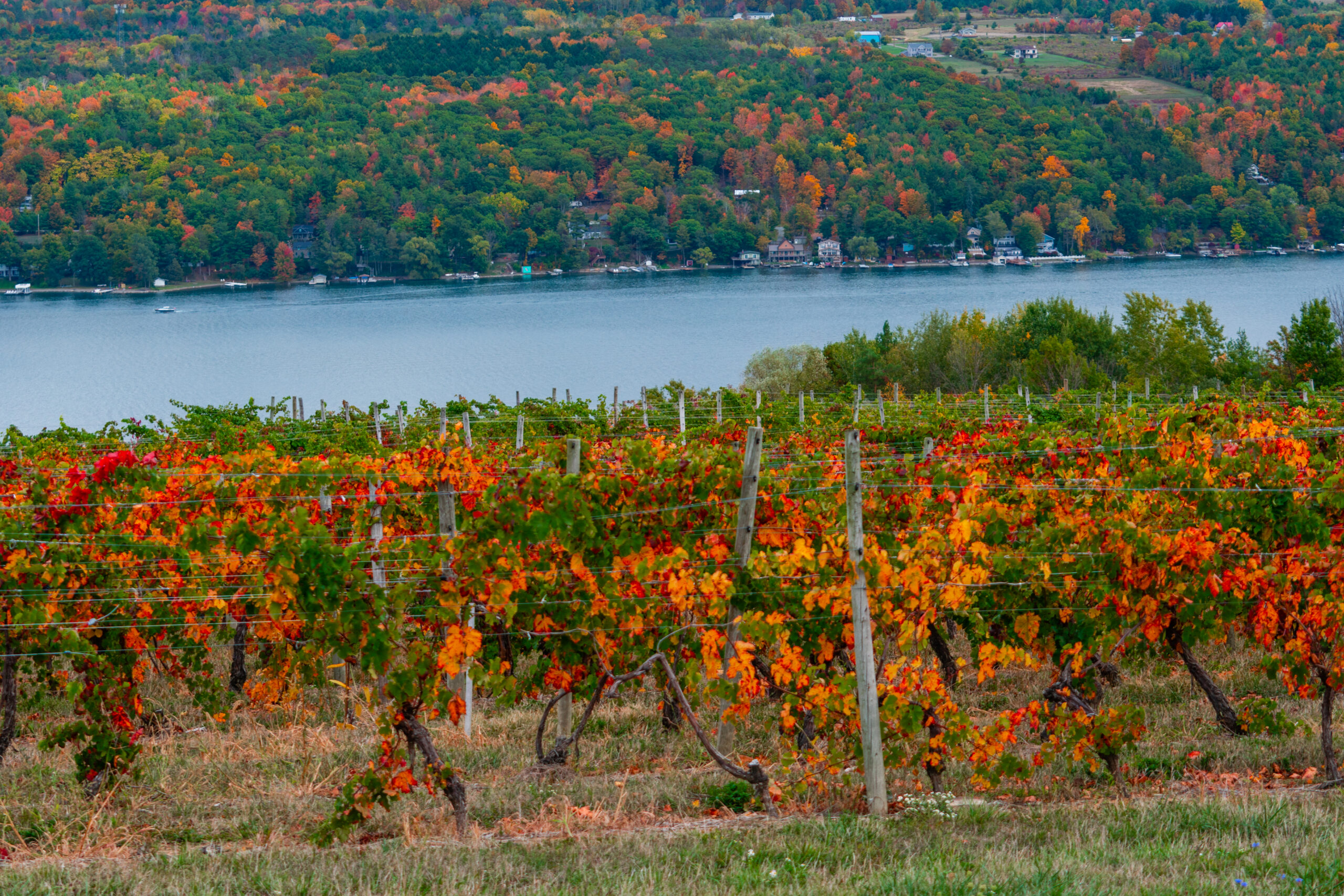 Best Time to Visit Finger Lakes Wine Country: A Month-by-Month Guide